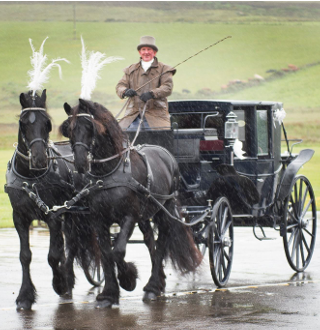 Horse Drawn Carriages